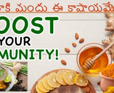 Corona virus  Ayurvedic  Immunity Booster Drink