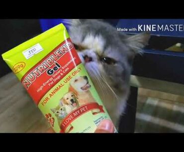 Nutriblend Gel | Effective vitamins for CATS and Dogs