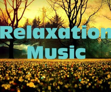 Feel the Nature's beauty | Sothing Relaxation
