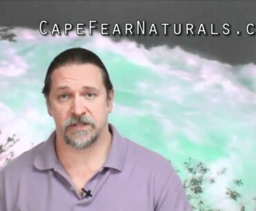 Natural Vitamins and Supplements - Cape Fear Naturals