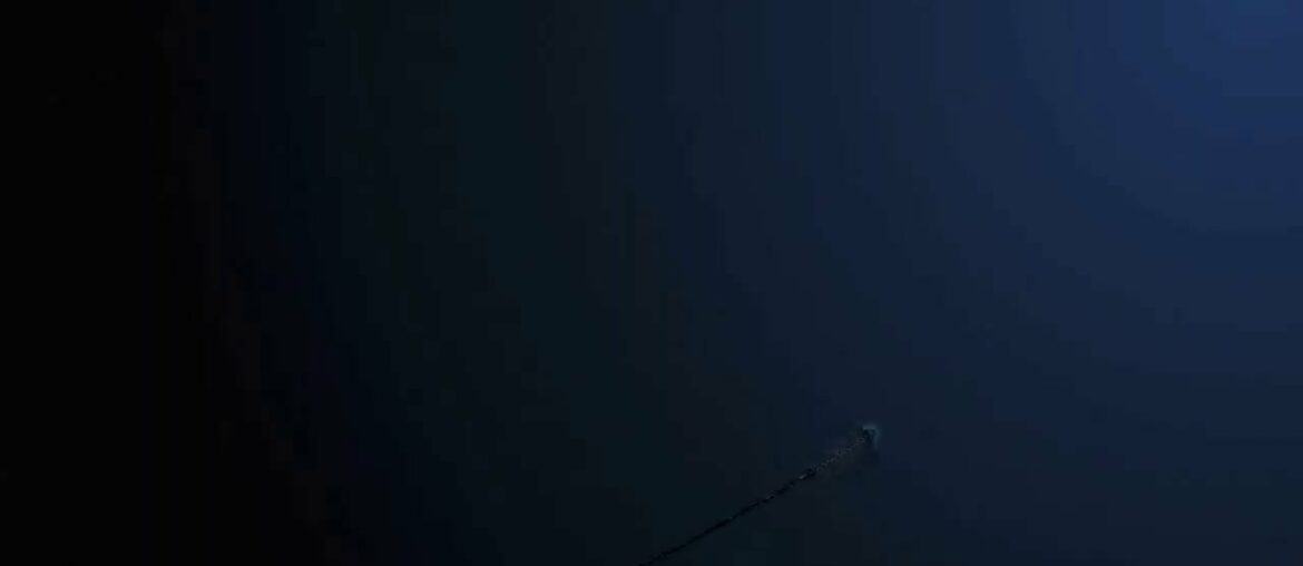 Covid 19 FSSAI recommended Vitamin C sources for immunity