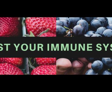 Top immune boosting foods