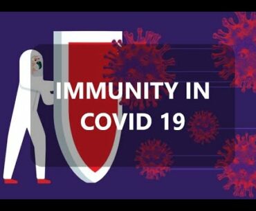 COVID UPDATE - IMMUNITY IN COVID 19