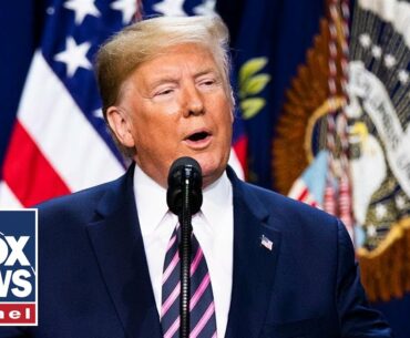 Trump holds coronavirus press briefing | 7/30/20