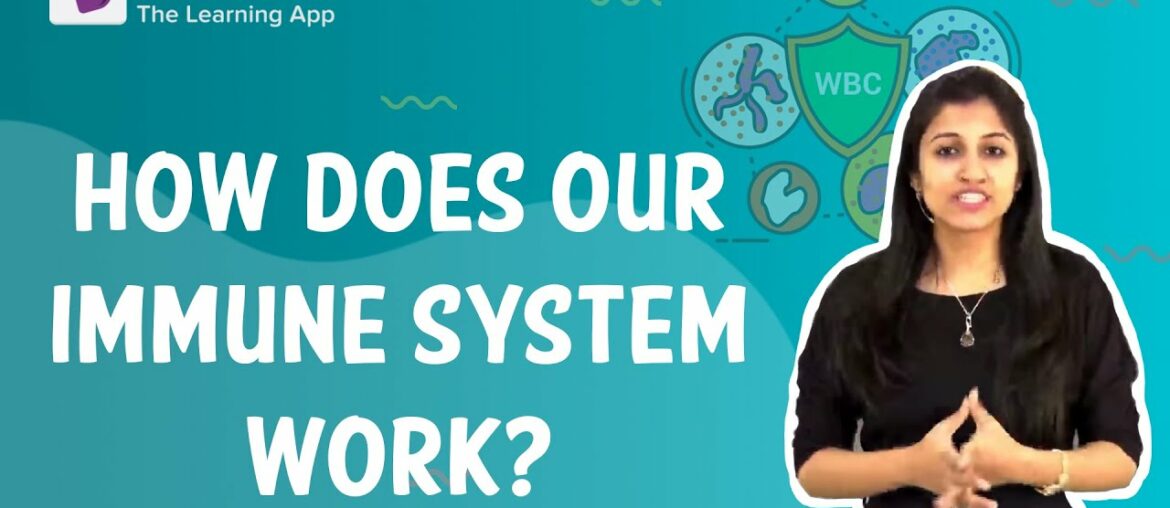 How does our immune system work? | Class 9 I Learn with BYJU'S