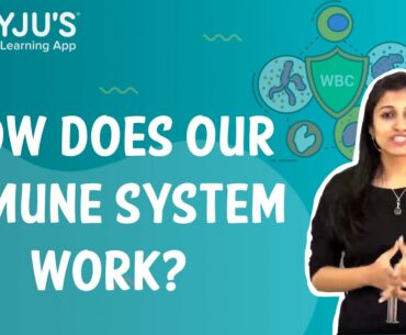 How does our immune system work? | Class 9 I Learn with BYJU'S