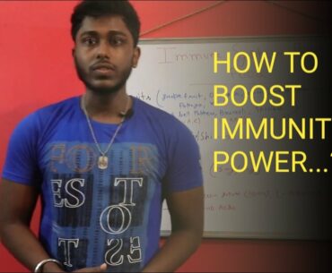 Immune System Boost Food for COVID-19