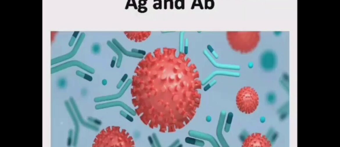 IMMUNITY AGAINST CORONAVIRUS