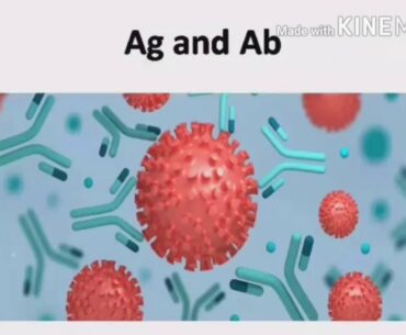 IMMUNITY AGAINST CORONAVIRUS