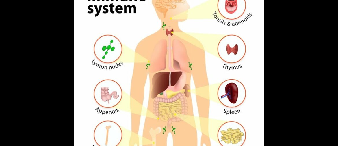 Yesureba tv -DR YEBOAH  IMMUNE SYSTEM