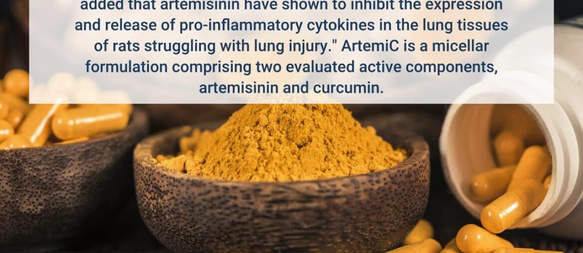 COVID-19: Immunity boosters you can make at home - The - Truths