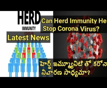 Can Herd Immunity Help Stop Corona Virus?