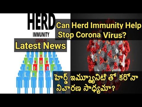Can Herd Immunity Help Stop Corona Virus?