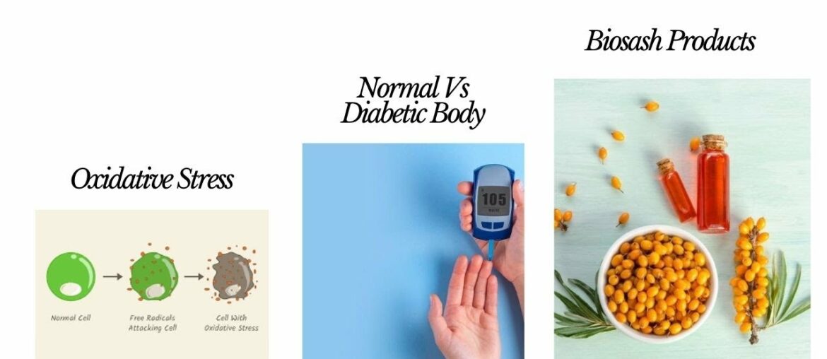 Biosash Products| Oxidative Stress | Diabetic Body