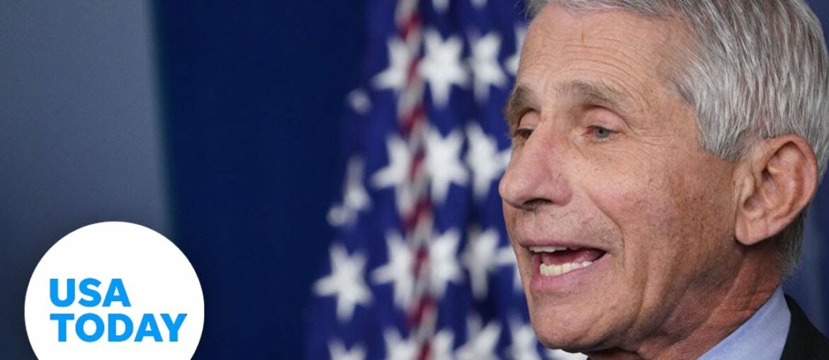 Dr. Anthony Fauci, Dr. Robert Redfield, others testify on COVID-19 strategy | USA TODAY