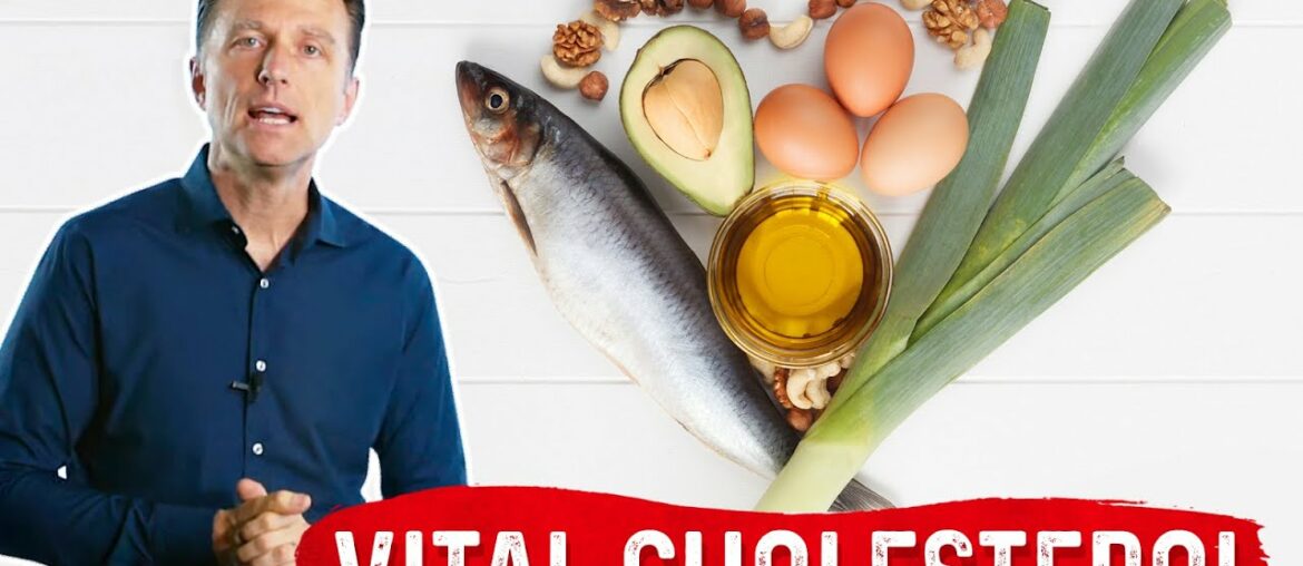 You Cannot Make Vitamin D Without Cholesterol
