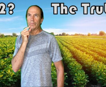 The Truth About Vitamin B-12 & Being Vegan