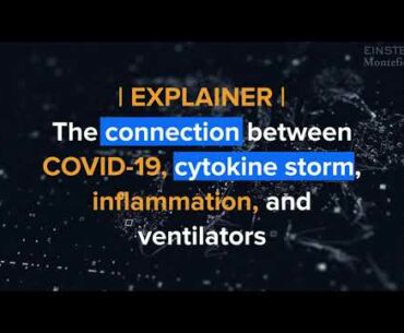 Explained: The Connection Between COVID-19, Cytokine Storm, Inflammation, and Ventilators