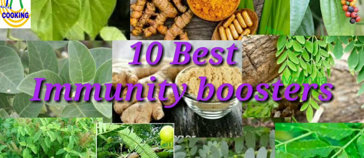 10 best immune boosting herbs