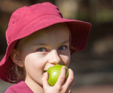 The Only Guide for Vitamins, Minerals and Nutritional Supplements: Diet