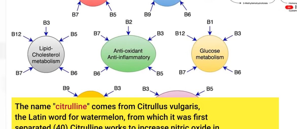 How to dispose of or recycle Vitamins And Supplements Fundamentals Explained