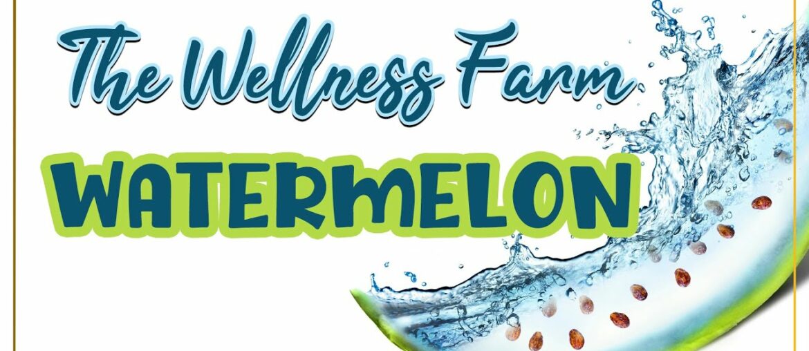 The Wellness Farm | Know Your Fruit | Watermelon