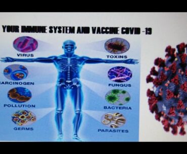 COVID 19 Vaccine recent updates and immune system response to vaccine.