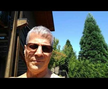 Sunlight Helps Immune System Fight Off Viral Infections Like COVID19 Corona Virus