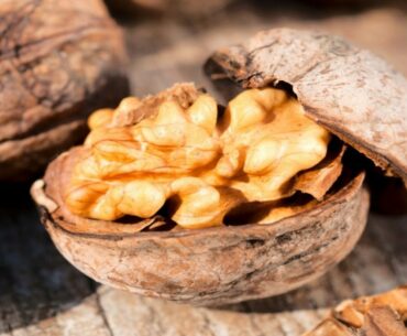 Walnuts Contain 4 To 15 times More Vitamin E Than Other Nuts