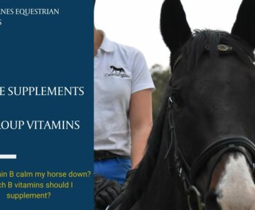 Horse Supplements - B Group Vitamins