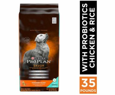 Probiotics Adult Dry Dog Food