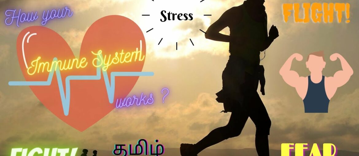 Important responses of immune system | Flight or Fight | COVID-19 | Tamil |info enrichment