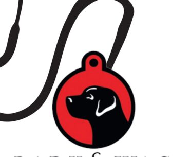 Dr. Armstrong discussed vitamin supplements for your older dog.