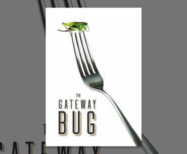The Gateway Bug