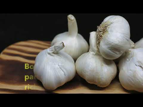 FIGHTING COVID 19   Immune System