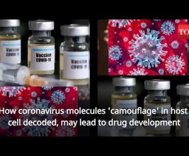 Scientists decode how coronavirus molecules 'camouflage' in host cell; may lead to drug development