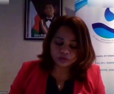 Supporting African Health Systems in the Time of COVID-19: A View from Japan