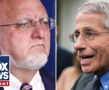 Fauci, Redfield testify before House on coronavirus crisis