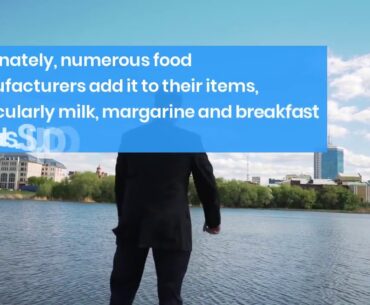 Some Ideas on Vitamin D Deficiency Symptoms & Supplement Side Effects You Should Know