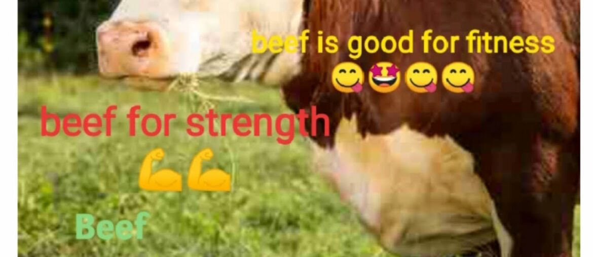 Benefits of eating beef | Nutritional benefits of beef |