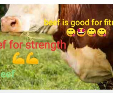 Benefits of eating beef | Nutritional benefits of beef |