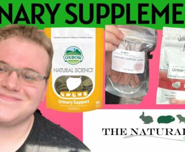 Urinary Supplements for Small Animals | The Natural Cavy