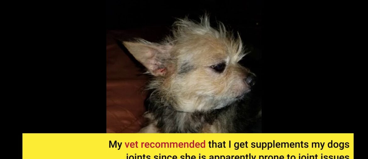 Dog Vitamin and Supplement: Probiotics for Gut Health & Immune Support, Glucosamine, Omega 3 Fi...