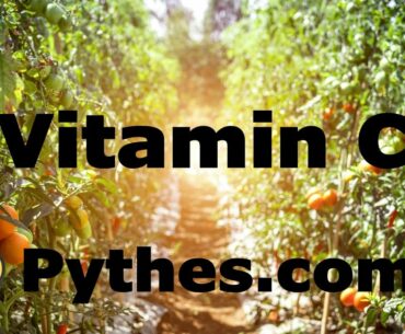 does vitamin c help against colds?