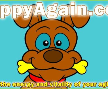 Best Dog Vitamin Supplements For All Dogs