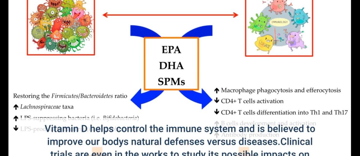 The Facts About Top 15 Immune System Boosters - OnHealth Revealed