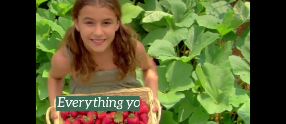 Home School Bistro - Vitamin C