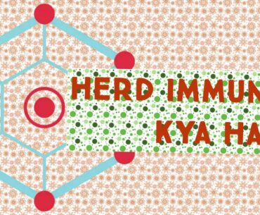 What is herd immunity?community immunity?herd immunity in india?#herdimmunity Coronavirus in hindi