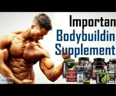 Important Bodybuilding Supplements /Paaras Banyal