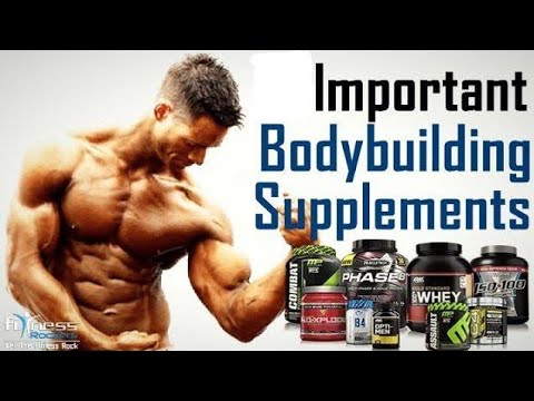 Important Bodybuilding Supplements /Paaras Banyal
